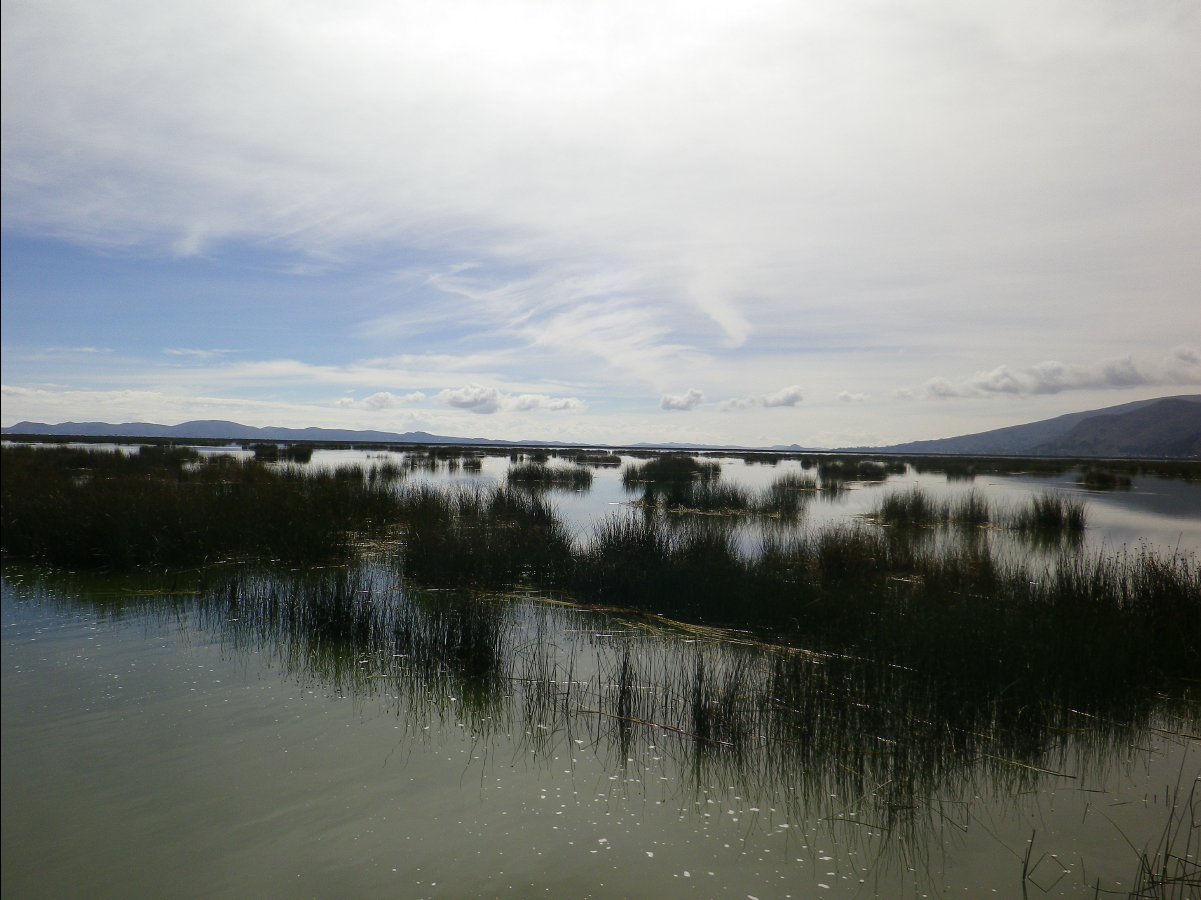 Lake Titikaka07